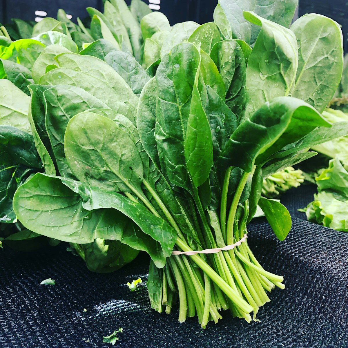Close-up of fresh green spinach leaves showing vibrant texture.