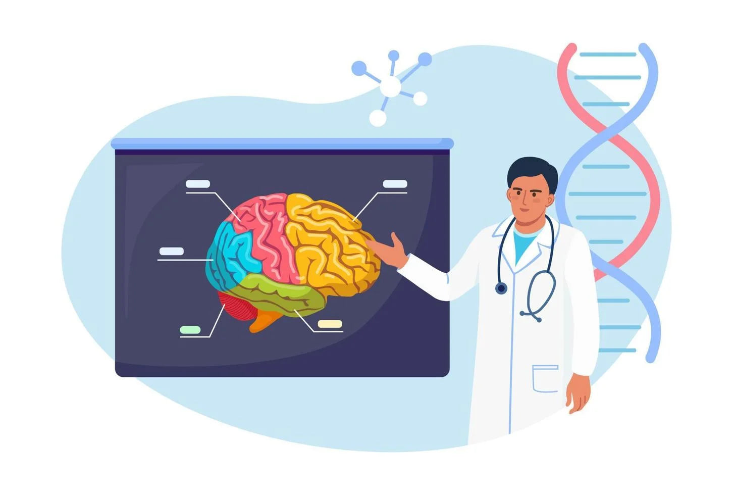 A scientific conceptual illustration showing a brain with glowing neural networks, symbolizing the relationship between sleep and neurological health.