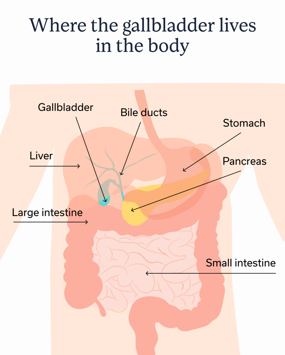 Gallbladder Disease: Symptoms, Causes, and Treatments