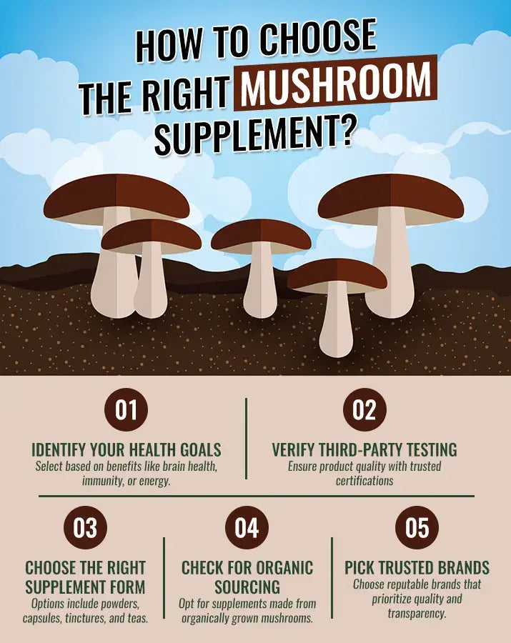 Educational infographic guide on how to choose the right mushroom supplement based on quality markers.