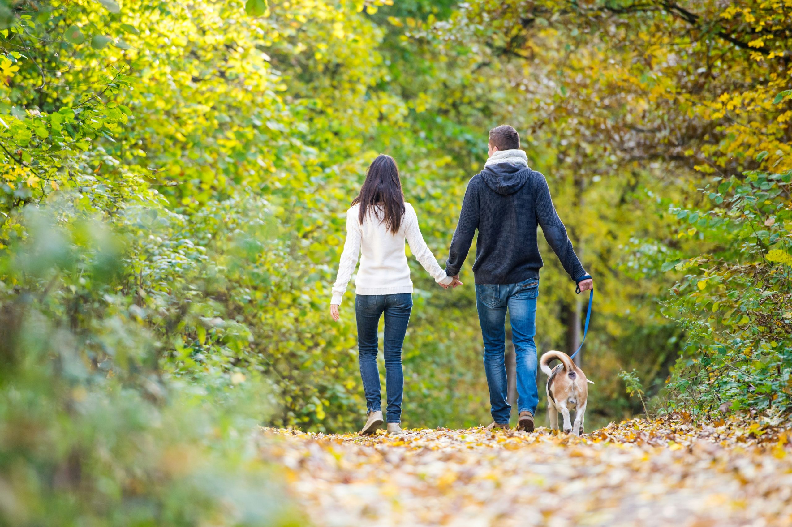 Science-Backed Daily Step Goals for Longevity