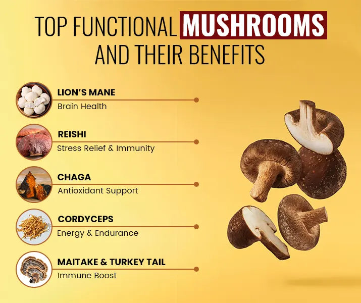 Infographic highlighting the top functional mushrooms for health benefits including immunity.