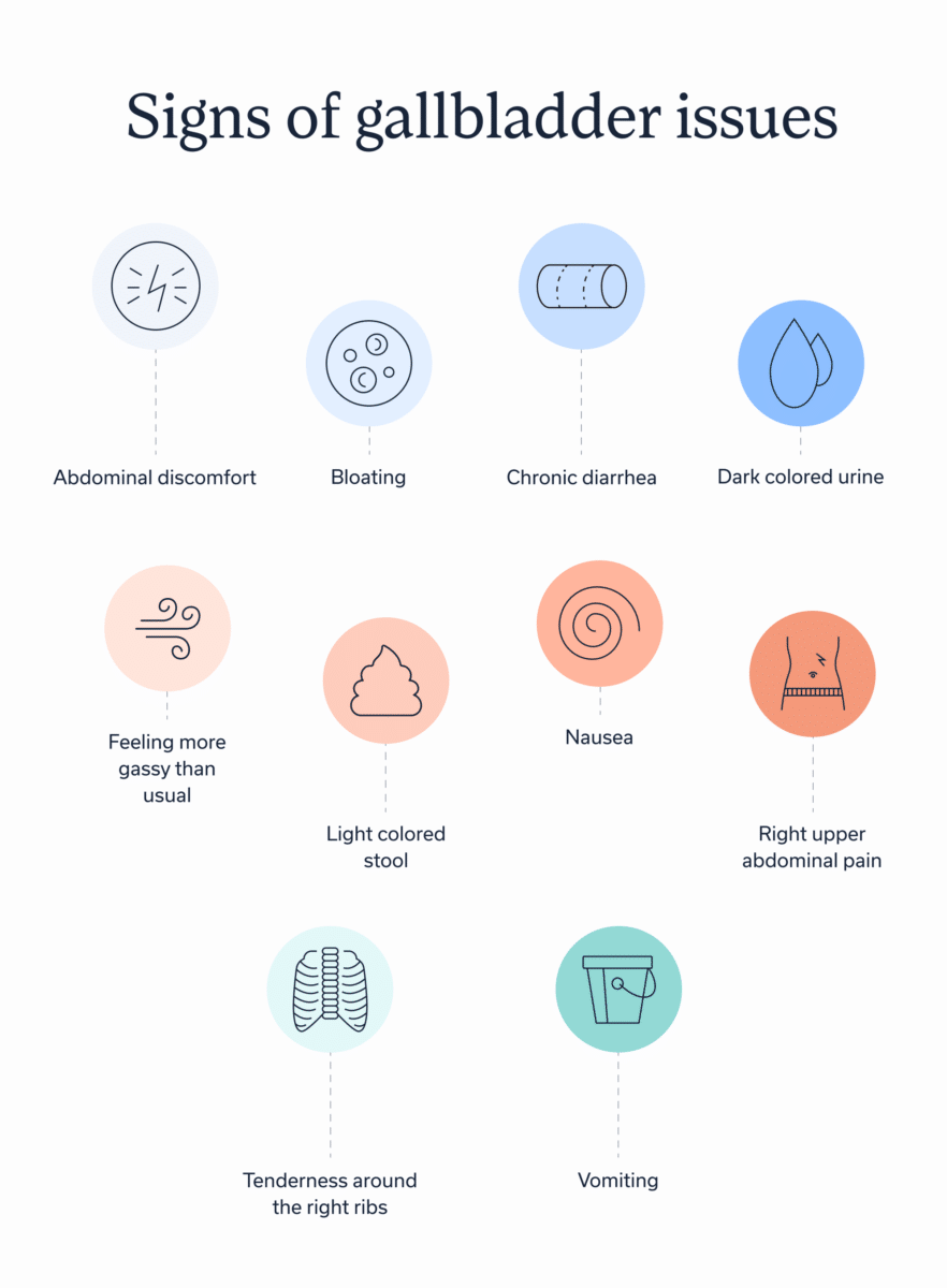 Infographic list of gallbladder symptoms including abdominal pain, bloating, and indigestion.