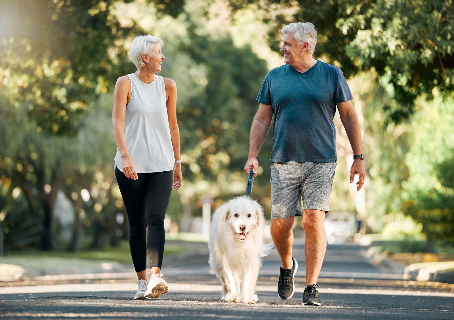 A senior couple walking their dog in a bright suburban neighborhood.